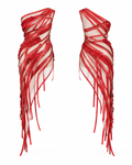 The Red Zippered dress